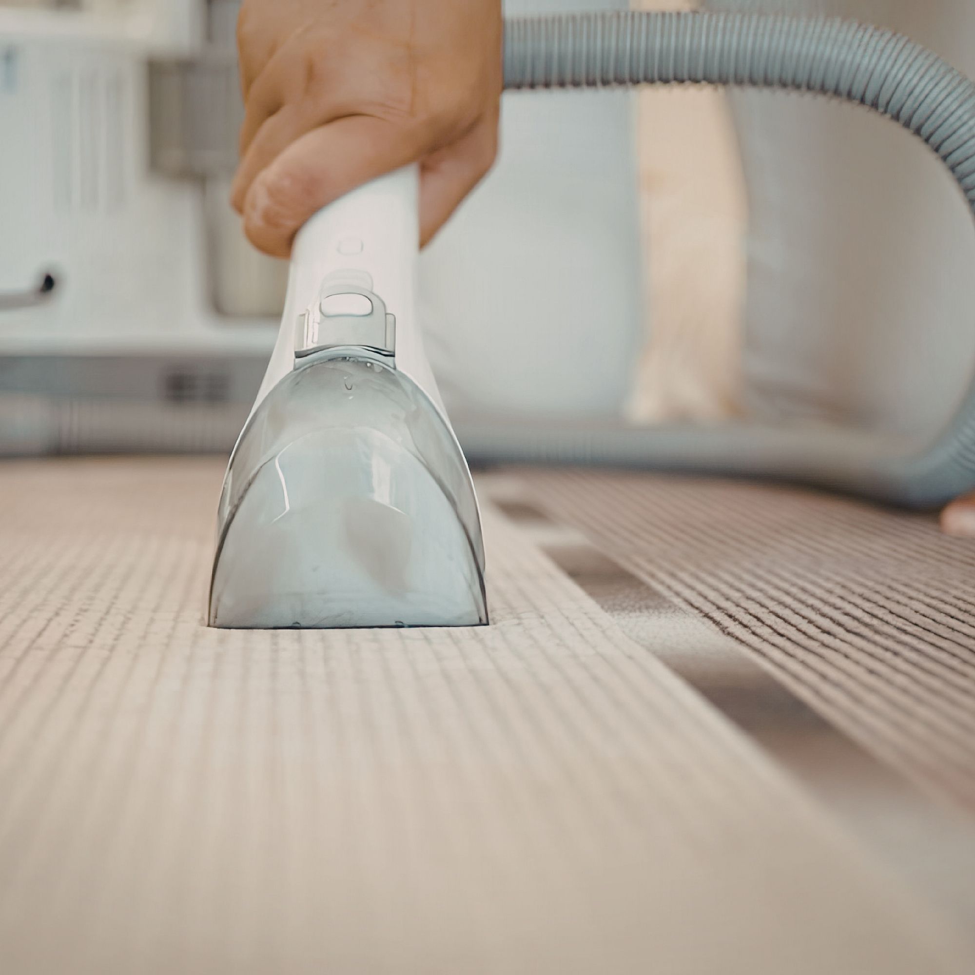 What Are the Steps Involved in Professional Rug Deep Cleaning Services?